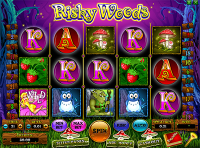 Игровой автомат Risky Woods